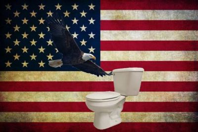 toilets-in-usa-flushed